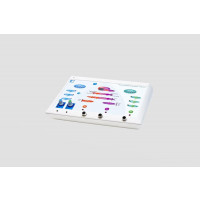 Косметологический аппарат ЭСМА 12.17П РЕВИТАЛЬ