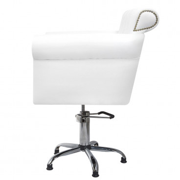 Парикмахерское кресло Demure